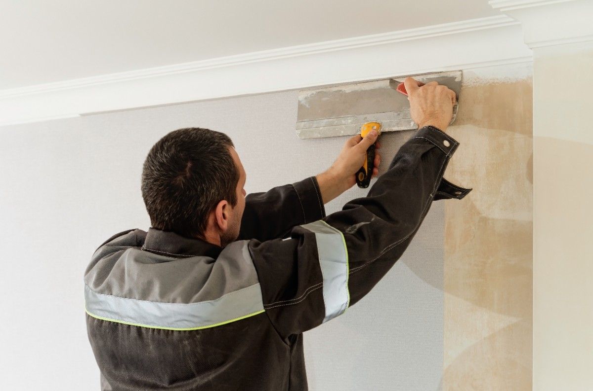 Plaster Wall Repair